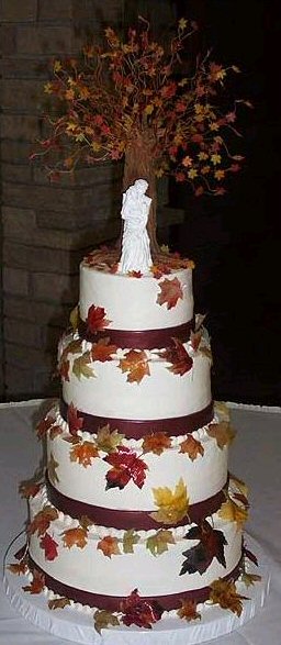 Fall Bride 2008