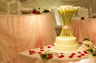 blushingbrideandgroom