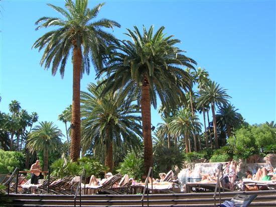 MrsQ-in2007