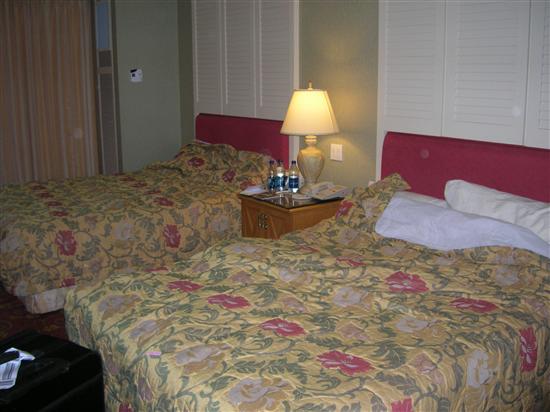MrsQ-in2007