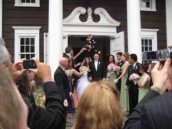 Daisy Bride