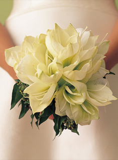 Brooklynbride