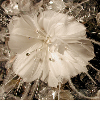 magbride