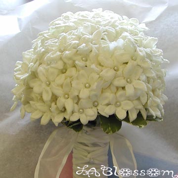 sugagrlxoxo