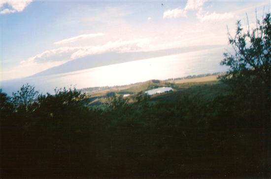 HelenZ