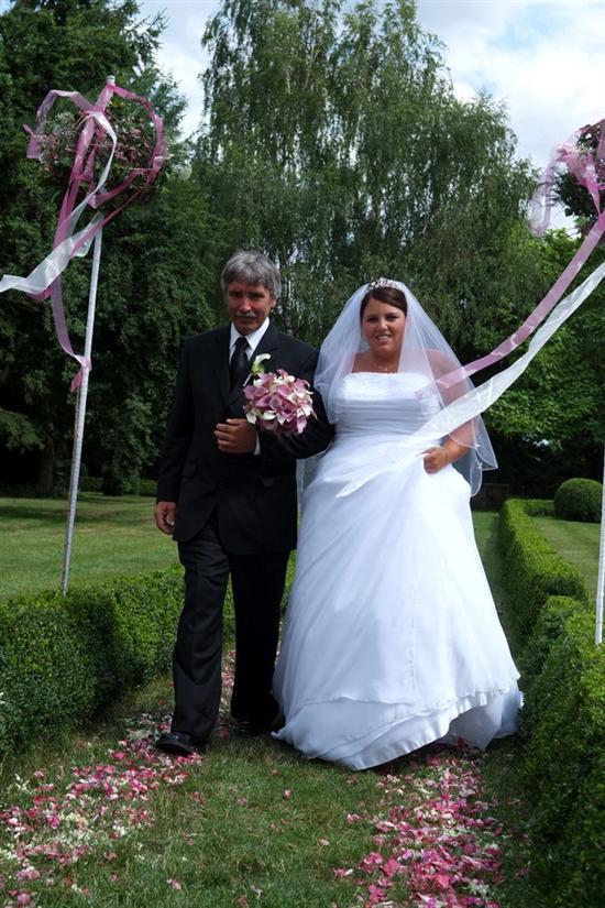 erdbeere