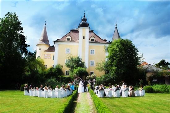 erdbeere