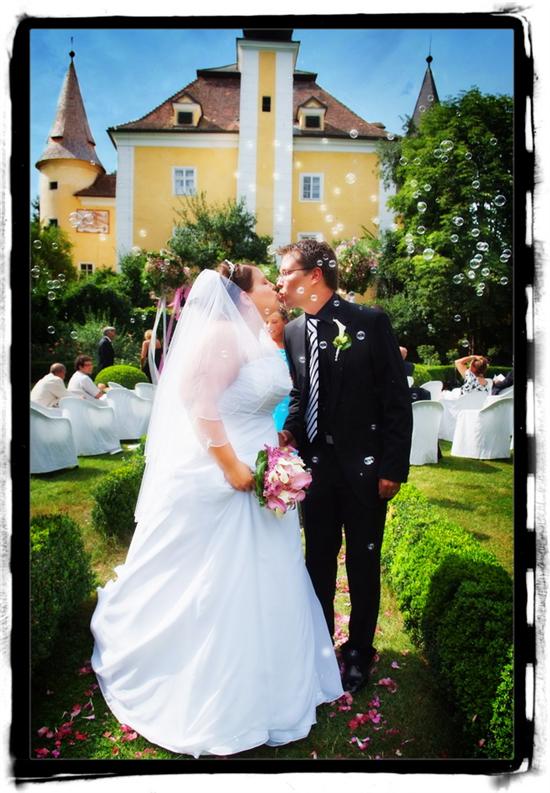 erdbeere