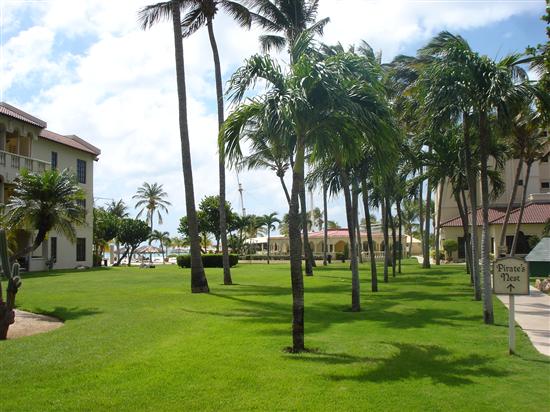 sbarraza