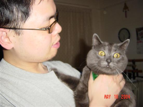 Xelindrya
