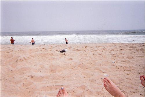 beachprincess