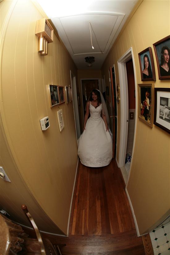 Daisy Bride