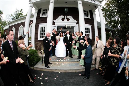 Daisy Bride