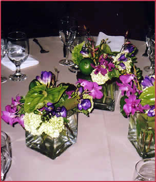 GetinHitched08