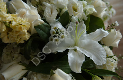 June_Bride2007