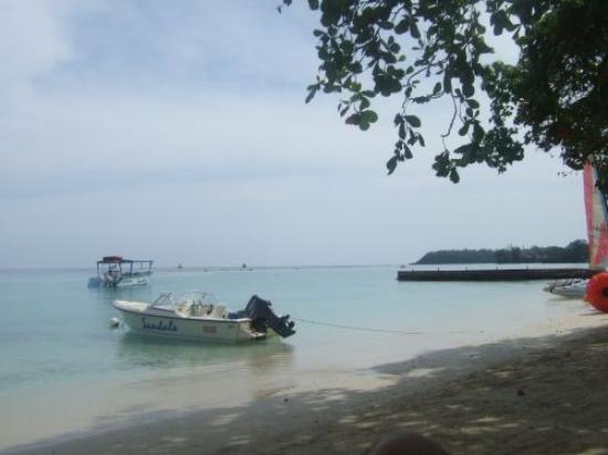 Tobewed07