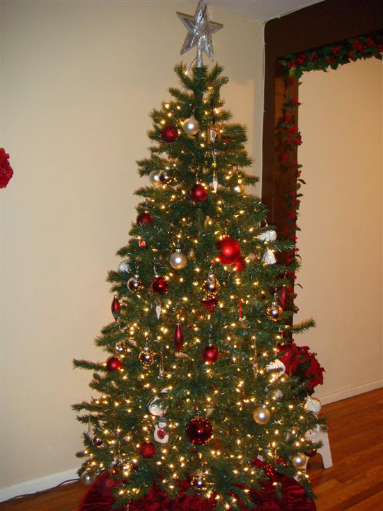 MrsQ-in2007