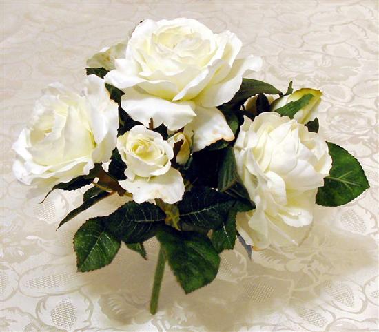 MsBride0808