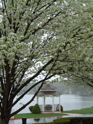 MsBride0808