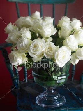 MsBride0808
