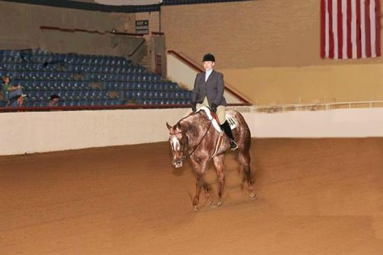 mRm2008