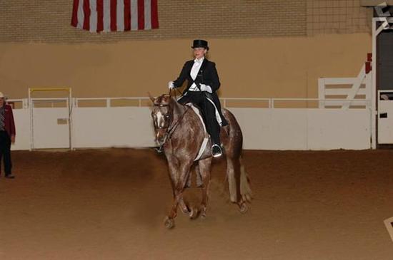 mRm2008