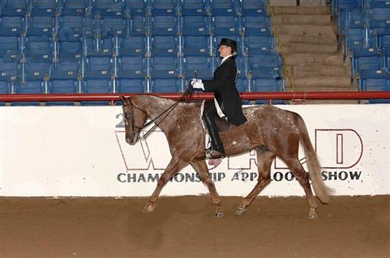 mRm2008