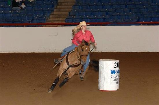 mRm2008