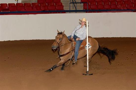 mRm2008