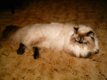 mRm2008
