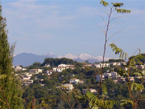 SusanAdam