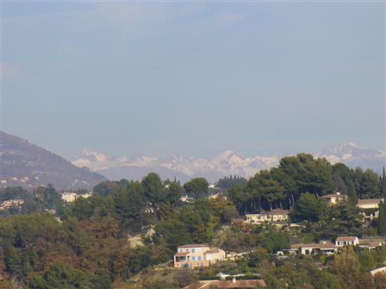 SusanAdam