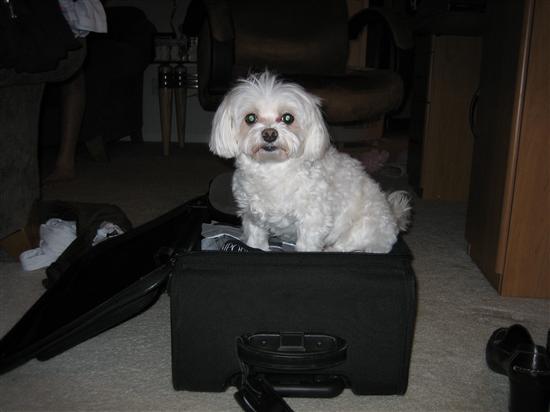 JayLi2007