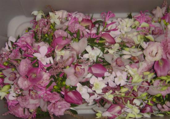 laurwed