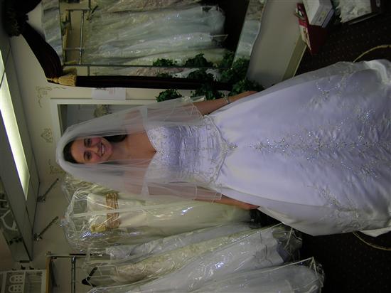 AMANDA2378