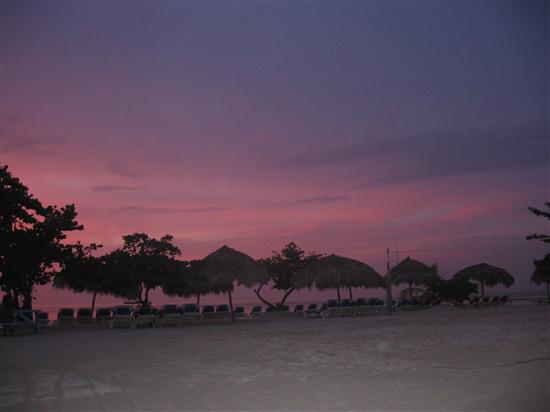rebzarella