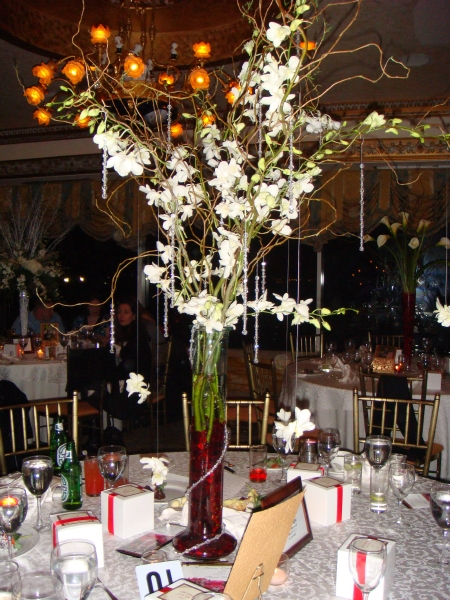 MrsQ-in2007