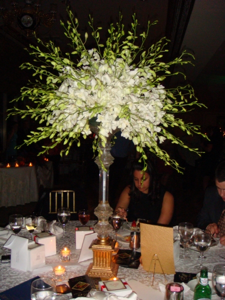 MrsQ-in2007