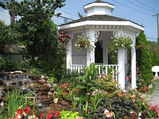 Celest