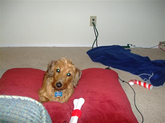MRSin2009