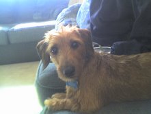MRSin2009
