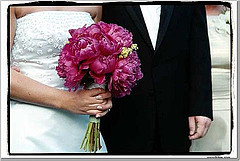 bridej9