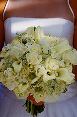 bridej9