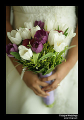 bridej9