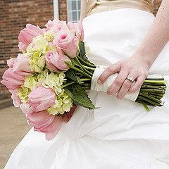 bridej9