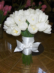 bridej9