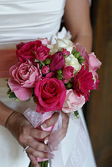 bridej9
