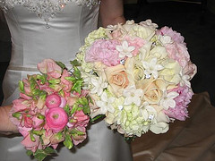bridej9