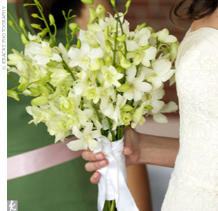 bridej9