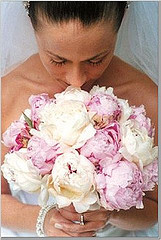bridej9